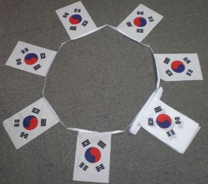 6m 20 flag South Korea bunting