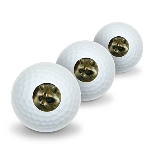 GRAPHICS & MORE Raccoon Masked Bandit Novelty Golf Balls 3 Pack