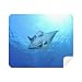 Ocean Ray Skate Science Nature Picture Cleaning Cloth Screen Cleaner 2pcs Suede Fabric