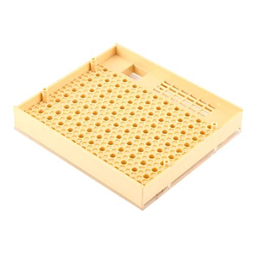 Kit De Enxerto Para Criação De Abelhas, Apicultura, Caixa, Ferramentas De Gaiola, Blocos E Tampas De