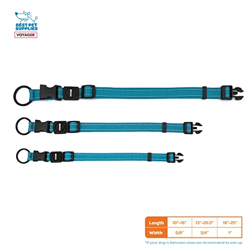 Best Pet Supplies Reflective Dog Collar With Adjustable Length, Heavy-Duty Buckle, And Strong Leash D-Ring, Training, Walking, Jogging Accessory For Small, Medium, And Large Breeds - Turquoise, M #TOP30