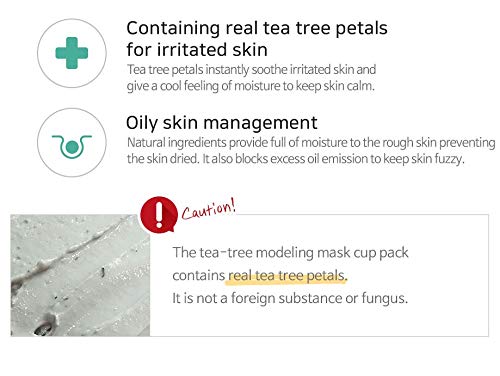 Lindsay Cool Tea Tree Rubber Modelling Mask | Natural Korean Water Rubber Mask | Chemical Free | Clean Beauty #TOP2