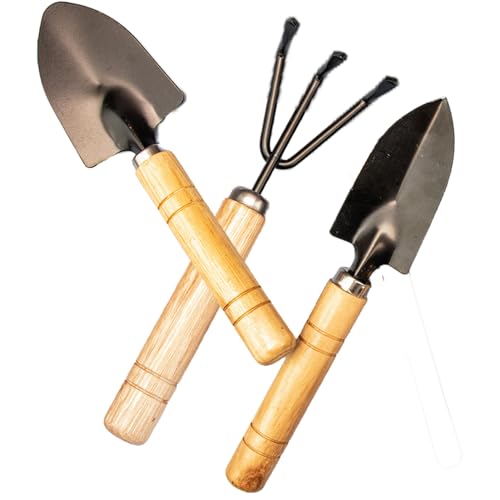 Garden Tool Set for Home Gardening, Basic Gardening Kit