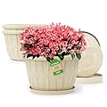 Quarut 10 inch Plastic Flower Pots for Indoor Plants?4 Pack Large Outdoor Planter Pot with Drainage Holes & Saucers?Imitation Wine Barrel Design?for Indoor Outdoor Garden Plants?Beige?