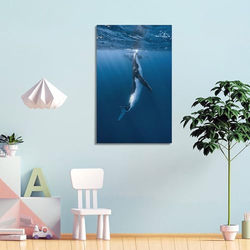 Toile rorqual à nageoire 60x90 cm grand format, impression haute définition