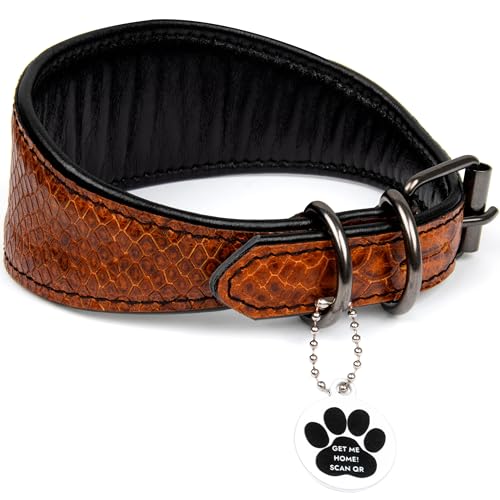 FAVPET Luxus Echtleder Windhund Halsband Breit mit QR Code Anhänger, Weiches Lederhalsband Hund Breit Whippet Italienisches Windspiel Saluki Lurcher Spanischer Galgo Greyhound Podenco (Braun, L)