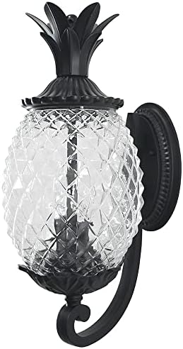 Acclaim 7501BK Lanai Collection 2-Light Wall Mount Outdoor Light Fixture, Matte Black