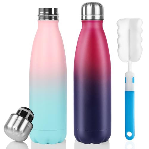 Image of Sfee Insulated Water Bottle, 17 oz Stainless Steel Water Bottles, Double Wall Vacuum Reusable Water Bottles Leak Proof BPA-FREE Sports Bottle Cup Keep Hot&Cold for Running Gym Workout Cycling Kids