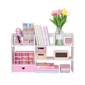 Conkawaca Schreibtischregal mit Fächern HY5