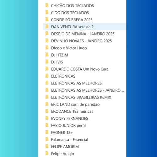 Pen Drive 32gb com Músicas Gravadas Com Vários Generos 3000 Músicas,160 Pastas : Sertanejo, Forró, P