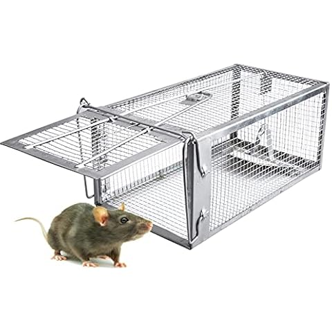 PIXESTT Humane Mouse Trap, Rat Cage Trap Suitable for Capturing Mice or Hamsters Alive, Friendly Small Animal Humane Live Cage Rat - 11.2'' X 5.5'' X 5'' Cover