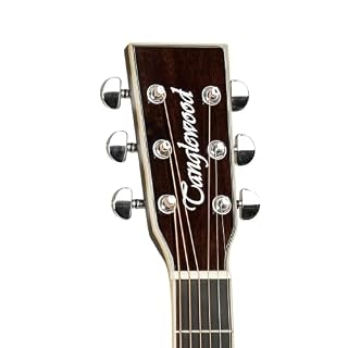 Tanglewood Winterleaf TW5 AVB Guitare électro-acoustique – Image 3