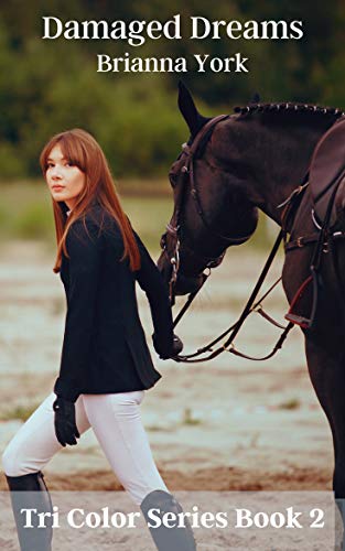 Damaged Dreams (Tri Color Series Book 2)