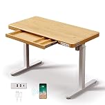 kowo Electric Standing Desk with Drawer, USB C Hub & Wireless Charger, Height Adjustable Sit Stand Desk Stand Up Rising Desk Adjustable Table Home Office Computer Desk with Storage, 120cm (L) Maple