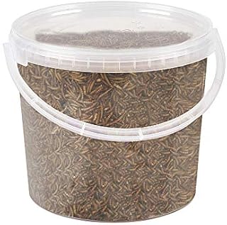 Premium Dried Mealworms, 5 Litre Tub