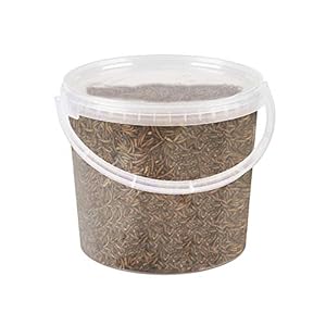 Premium Dried Mealworms, 5 Litre Tub