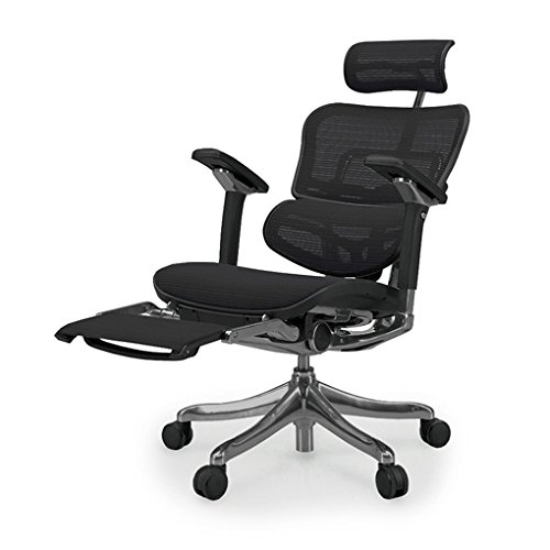 Amazon.co.jp: メーカー組立完成品 エルゴヒューマン プロ