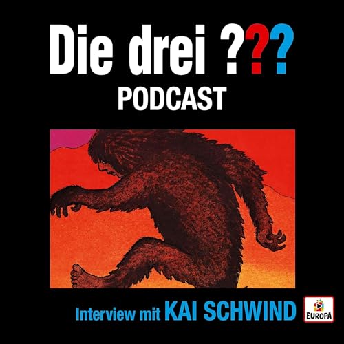 Couverture de Interview mit Kai Schwind