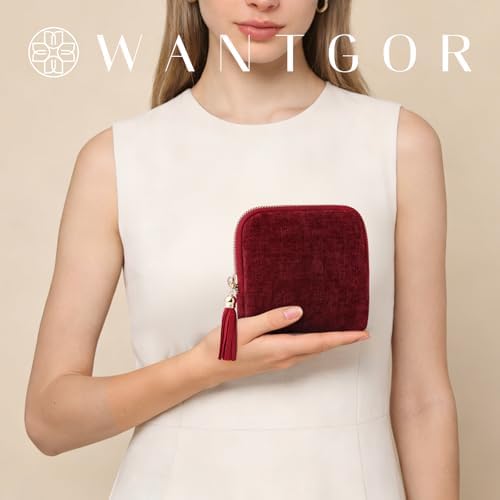 WantGor Travel Jewelry Organizer Case for Women, Jewelry Box 6-Layer Pouch Bags Small Velvet Jewelry Storage Bag Necklace Holder, Ring Box, Earrings Organizer, Travel Essentials (Burgundy)