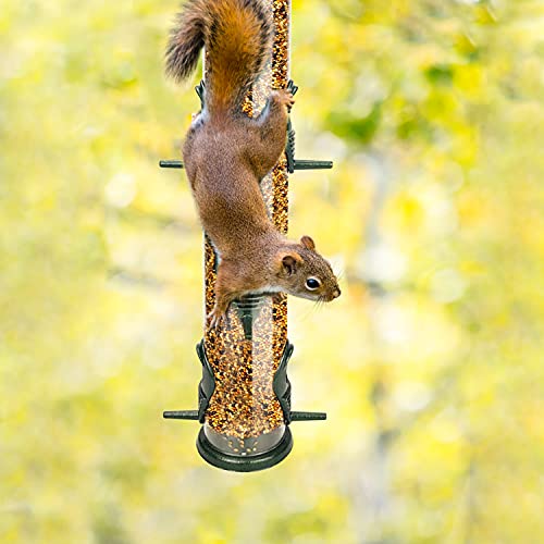 Metal Bird Feeder Tube Hanging Wild Bird Feeders Aluminum Six Port Hummingbird Feeder,1.4 Mm Extra Thick Solid Tube Transparent With Steel Hanger Great For Attracting Birds #TOP4