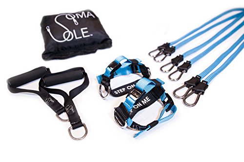 FinesseFitness Inc Patented SomaSole Gym-in-A-Bag - Full Body Workouts for Home, Travel or Outside - FinesseFitness Inc Patented SomaSole Gym-in-A-Bag - Full Body Workouts for Home, Travel or Outside -