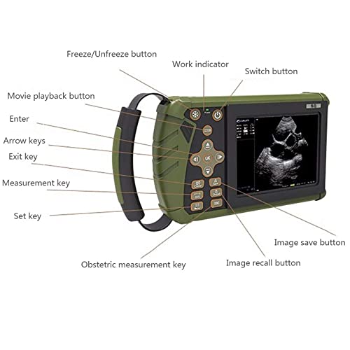 Scanner portatile a ultrasuoni B per diagnostica veterinaria in gravidanza con sonda convessa da 3,5 MHz per pecore, cani, gatti e maiali - stima del numero di feti e frequenza cardiaca fetale