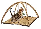 Cat Tent Leopard Print Cat Play Mat Tent With hanging Toys