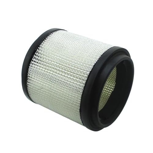 Filtre à air haute filtration compatible Trail Boss 250 pour moteur sans ratés