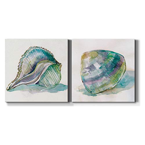 Renditions Gallery Malecon Shell I Wall Art, Premium Gallery Wrapped Canvas Decor, Ready to Hang, 32 in H x 32 in W, Made in America Print