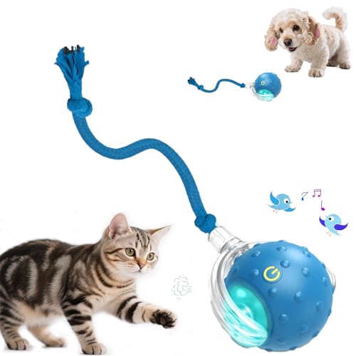 Interactive Cat Toys Ball - 2025 New Gen with Smart Obstacle Avoidance,Bird Chirps & Auto Wake-Up,Includes 1 Speedy Tail 2.0 Ropes, Ideal Kitten Toys for Bored Indoor Cats (Blue)