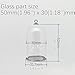10 Pcs Mini Glass Cloche Dome with Stainless steel Base and Loop – 50x30mm Clear Bell Jars for DIY Crafts, Ornaments, Display – Unassembled (Stainless Steel)