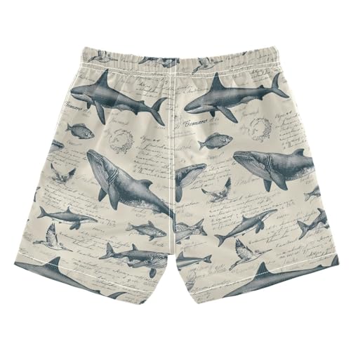 Vintage Fishes Boys Swim Trunks Drawing Salmon Trout Fishing Toddler Beach Board Shorts Baby Summer Bathing Suit 3T Multicolor2