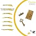 Creative Deco Cierre Dorado + Una Llave Extra Estuche | 40 x...