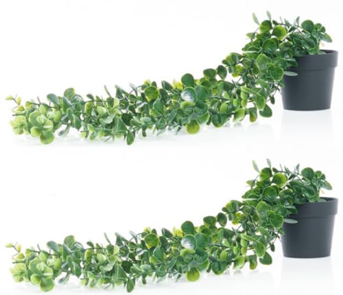 Valyria Home - 2 Pcs Planta Artificial Colgante con Maceta 63cm - Decoración del Hogar - Planta Colgante de Plastico con Maceta - Diseño Realista para Boda Jardín Balcón Dormitorio