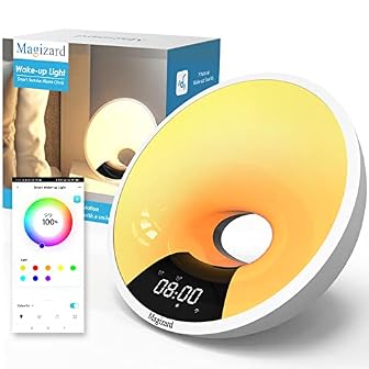 Private: Smart Alarm Clocks post product image