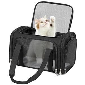 Cat Dog Carrier Up to 15 Lbs TSA Airline Approved Pet Carrier for Small Medium Cats Puppies Dog Carriers for Small Dogs Collapsible Soft Sided Cat Travel Carrier – Black 17″x11″x11″