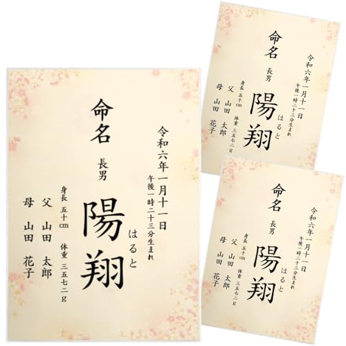  畿  Ƃ̑ccɂ I[_[  j̎qp ̎qp A4 ~l[g N o    ڏȗ (3)