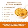 Organic Pumpkin Powder,10.58 oz, 100% Pure Sweet Pumpkin for Lattes, Baking & Smoothies | Vegan, Gluten-Free, Kosher | Easy Puree & Juice Mix-In