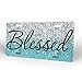 Blessed Blue Glitter Like Christian Religious Front License Plate Aluminum Decorative License Plates Funny Metal Car Plate 6