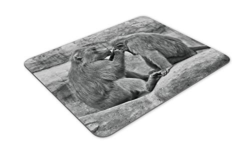 Hamadryas babbuini Tappetino mouse pad - Monkey