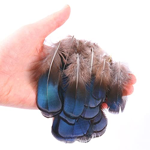 Natural Craft Feathers, 50 Pcs Mini Blue Tablets Chicken Feathers (2-4 Inch) For Diy Earrings Accessories Wings Dream Catcher Crafts #TOP1