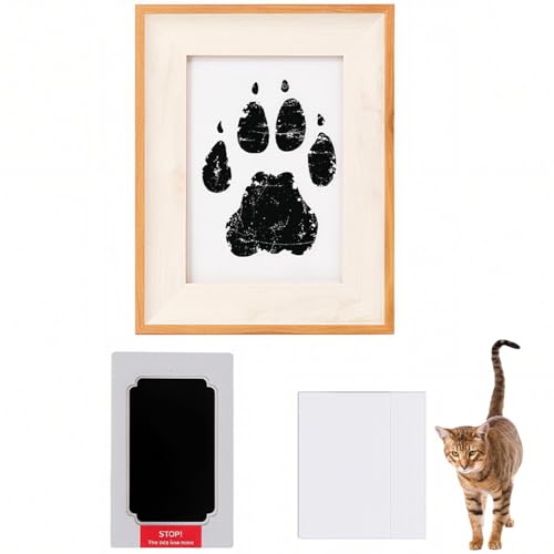 Lifetips IVLbg Ocicat ybgp  X^v Lbg ^  ``X^v `쐬Lbg LO  Ȃ `    ` ^ ȒP S y Ճpbh IWi vg ] A