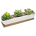 MyGift Potted Artificial Succulent Plants and Rock Fillers - Fake Plant Indoor Decor in 11-Inch Ceramic Planter with Bamboo Tray