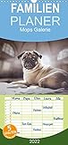 mops bild super schön VIELFALT - Mit über 25.000 verschiedenen Kalendern bietet der CALVENDO Verlag für jeden Geschmack das richtige Produkt. Zudem sind die Kalender meist in den Formaten DIN A5, DIN A4, DIN A3 sowie DIN A2 verfügbar. Der ideale Kalender für Ihr Wohnzimmer, Schlafzimmer, Küche, Esszimmer sowie für Kinderzimmer.