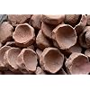 Vrindavan Clays Mini Clay Pots- 1 kg