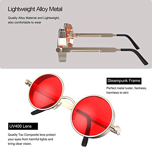 Image of PROUDDEMON Retro Gothic Steampunk Sunglasses for Women Men Round Lens Metal Frame