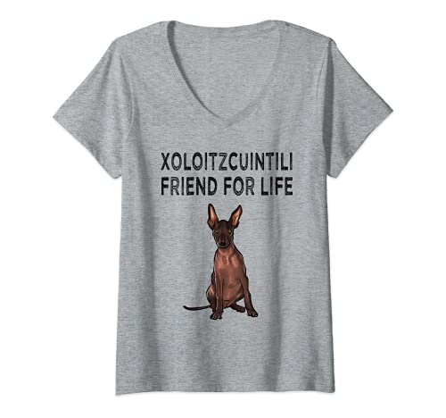 Womens Xoloitzcuintli Friend For Life Dog Friendship V-Neck T-Shirt, Grey