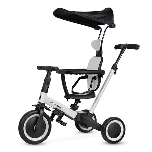 Dreirad ab 1 Jahr mit Schubstange 6in1 - Kinderdreirad mit Sonnendach - Dreirad mit Schiebestange - Fahrrad für Kinder bis 5 Jahre