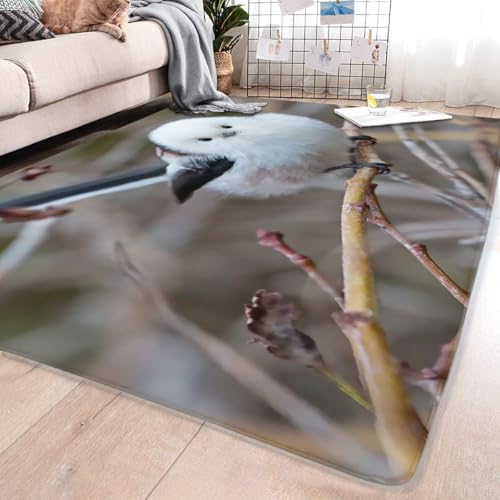 ���O �J�[�y�b�g �V�}�G�i�K ���킢�� �� �O�~ ������� �k�� ���イ���� �����` �􂦂� ����~�� �h�� �t���A�}�b�g �t�����l�����O �����p ���ԗp �I�[���V�[�Y��