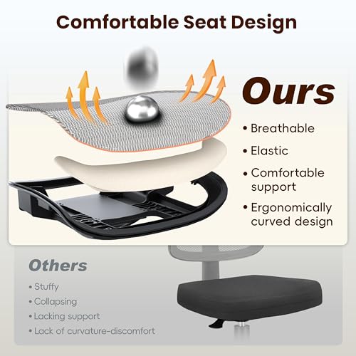 napa ergonomic chair review